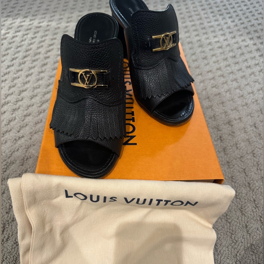 LOUIS VUITTON
Indiana Leather Mules In Black - Size 38